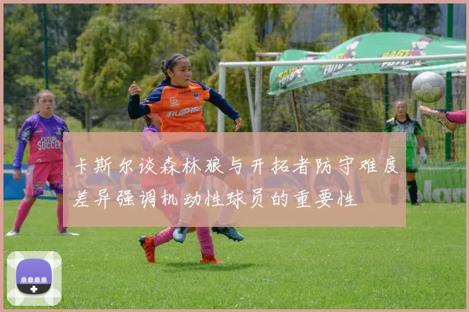 卡斯尔谈森林狼与开拓者防守难度差异强调机动性球员的重要性